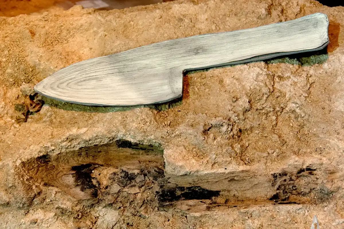 Estudio revela el uso sofisticado de la madera por neandertales en Abric Romaní