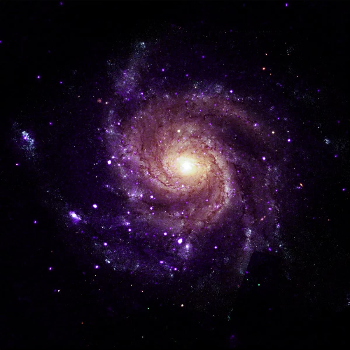 El Observatorio Chandra de la NASA descubre objetos inusuales en la galaxia del Molinillo