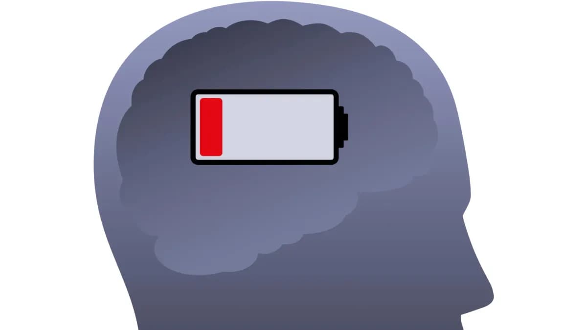 El enigma del sueño REM: soñar puede agotar la energía del cerebro a pesar de un aumento en el suministro de sangre
