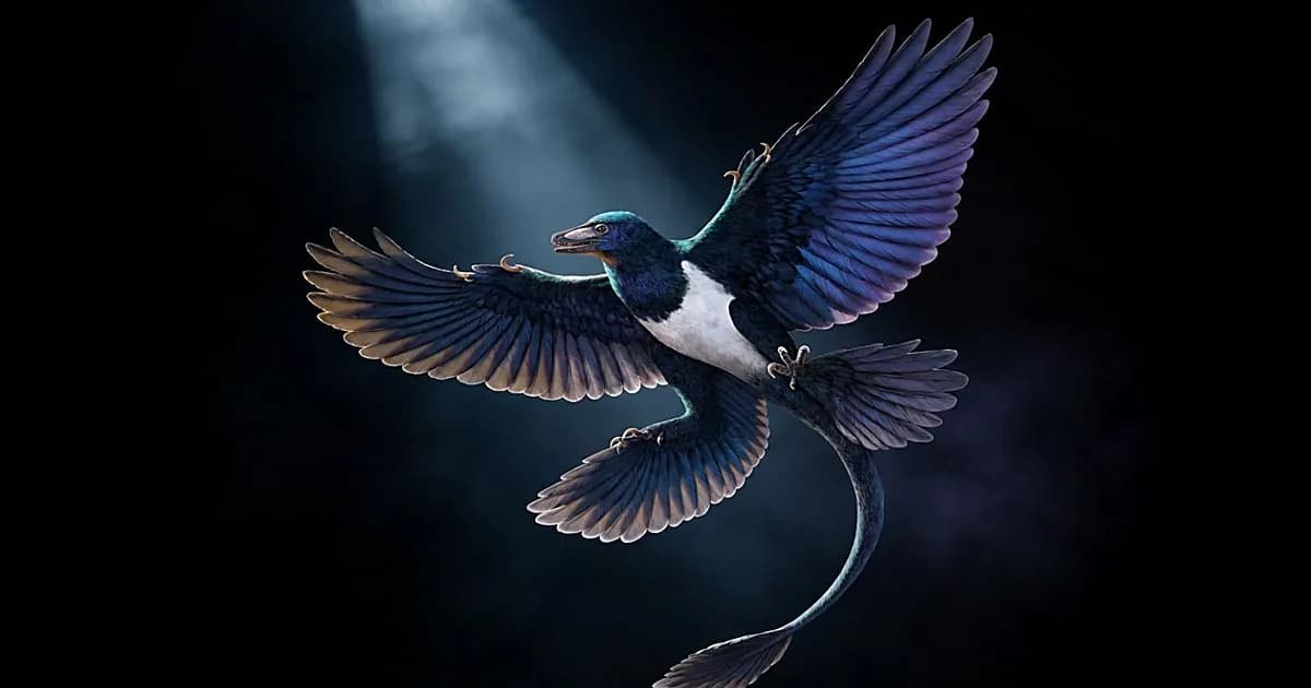 Un nuevo dinosaurio revela la complejidad del origen del vuelo en las aves