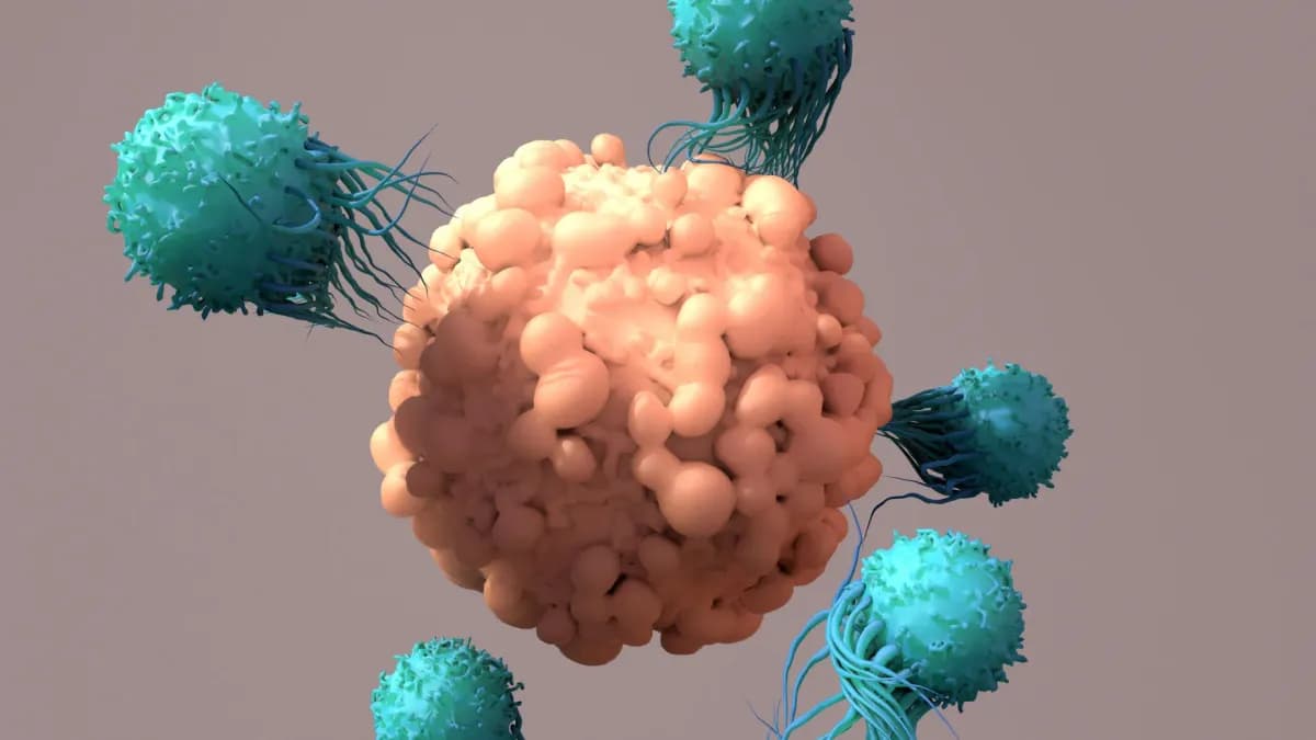 Investigadores reprograman células inmunitarias en el cuerpo para combatir el cáncer
