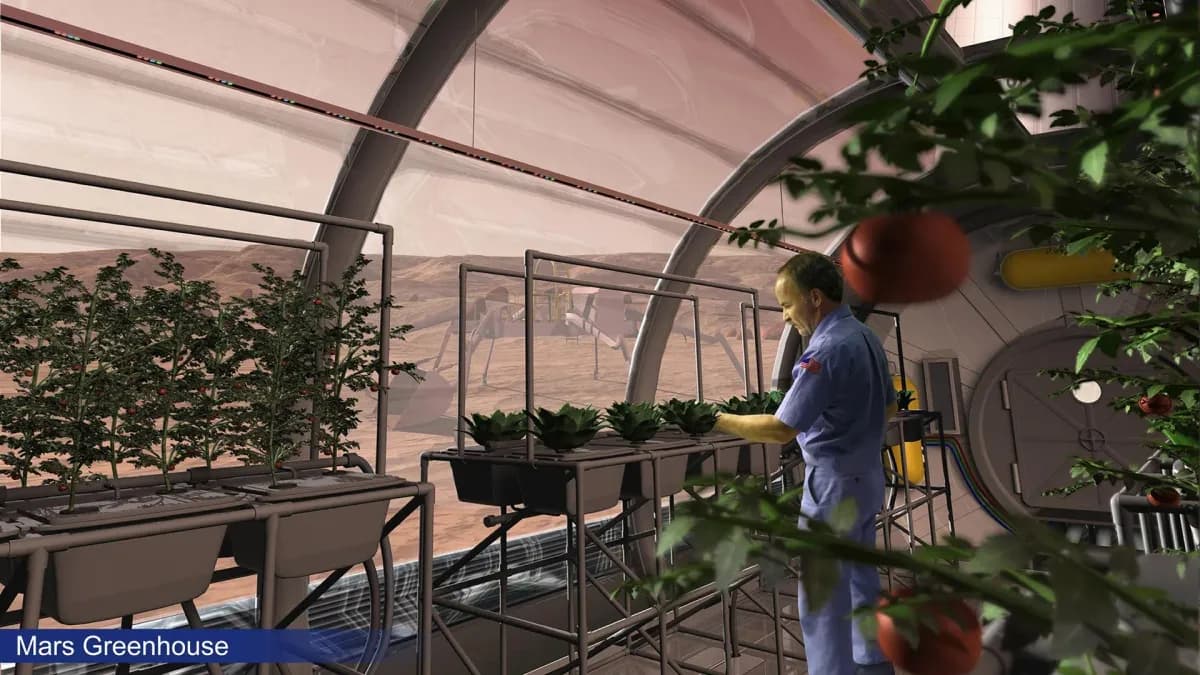 Los hongos podrían transformar el cultivo en Marte