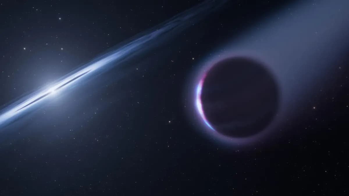 El telescopio Hubble podría haber encontrado un planeta nacido tras la muerte de su estrella