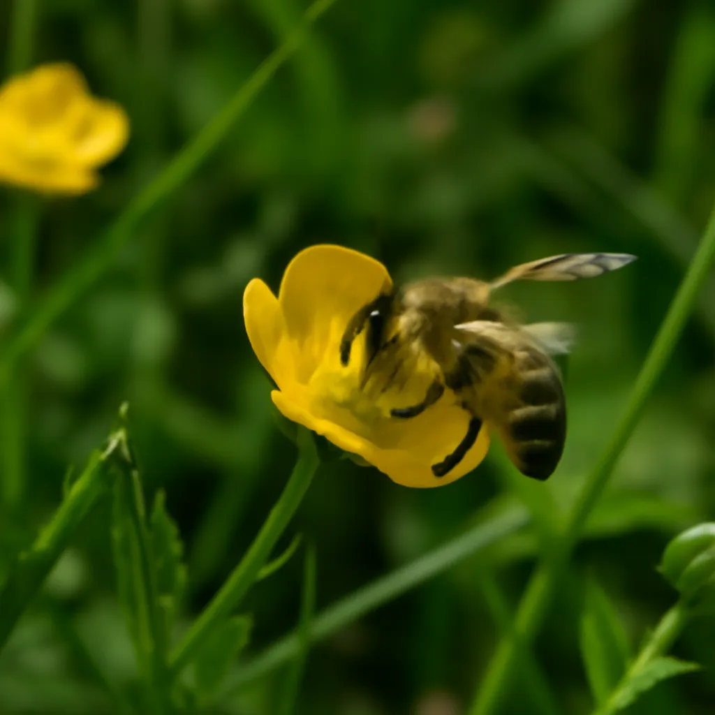 La crucial dependencia de los vertebrados hacia los insectos
